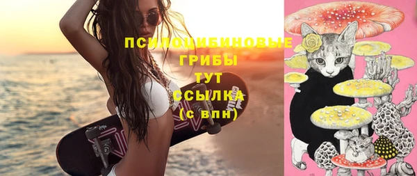 винт Аркадак