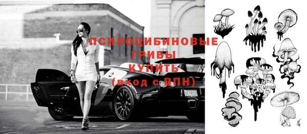 винт Аркадак