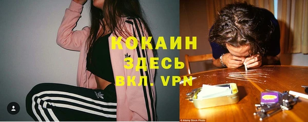 винт Аркадак